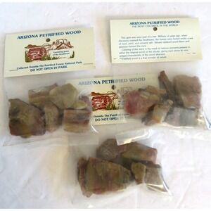 1.5 Lb Lot of Petrified Wood from North Eastern Arizona 3 Sealed Packages